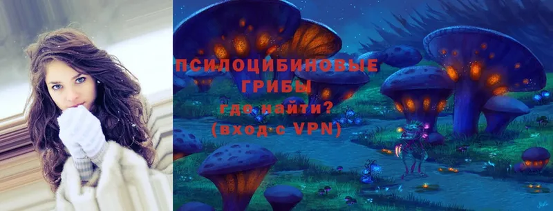 Галлюциногенные грибы Magic Shrooms  где купить наркоту  Сергач 